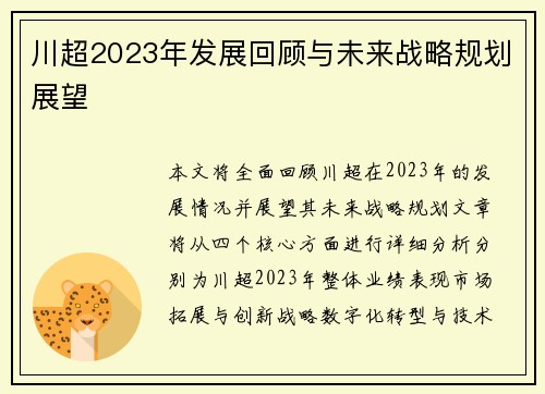 川超2023年发展回顾与未来战略规划展望